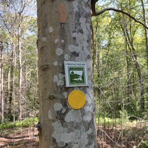 Newsletter3